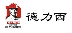 溫州德力西電氣有限公司視頻會議項目